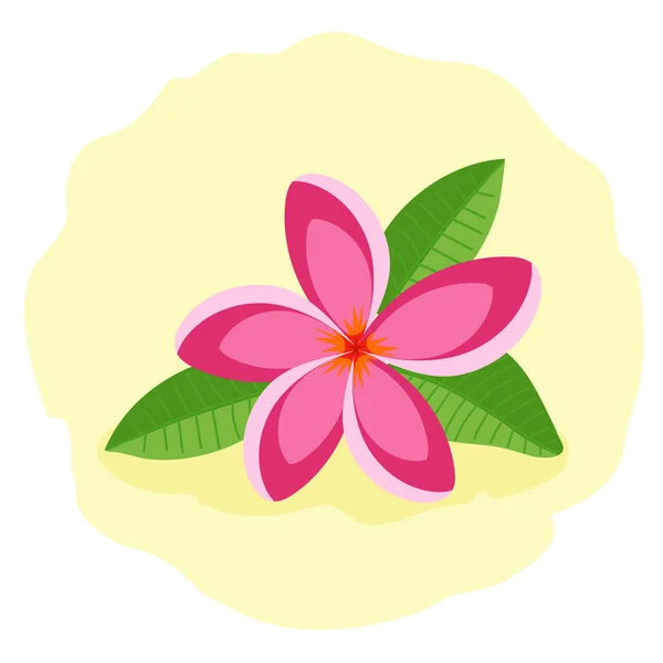 ピンクのフランジパニの花やプルメリア 美しい熱帯の花 フラットベクトルイラスト — ストックベクタ