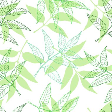Yeşil yaprak hatları ve beyaz arka planda siluetleri olan yay gibi pürüzsüz bir desen. Tekstil tasarımı, duvar kağıdı.