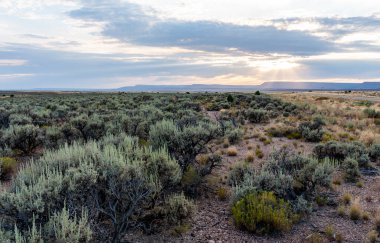 Arizona Otoyolu 'ndan gün batımında dağlara doğru görüş.