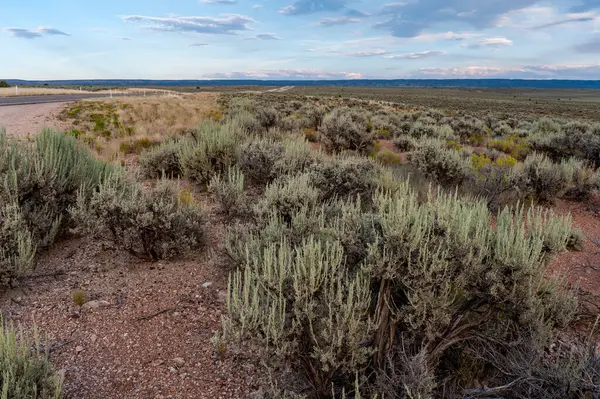 Arizona Otoyolu 'ndan gün batımında dağlara doğru görüş.