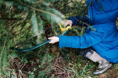 Bir Noel ağacını testereyle kesen genç bir çocuğun yakın çekimi.