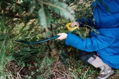 Bir Noel ağacını testereyle kesen genç bir çocuğun yakın çekimi.