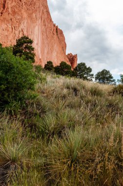Tanrıların Bahçesi 'nde kaya oluşumları, Colorado Springs, Colorado, ABD