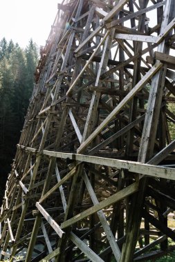 Kinsol Trestle ya da Koksilah River Trestle, Vancouver Adası, Britanya Kolumbiyası, Kanada 'da Shawnigan Gölü' nde tarihi ahşap bir demiryolu köprüsü.