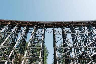 Kinsol Trestle ya da Koksilah River Trestle, Vancouver Adası, Britanya Kolumbiyası, Kanada 'da Shawnigan Gölü' nde tarihi ahşap bir demiryolu köprüsü.