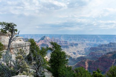 Grand Kanyon Milli Parkı, RIM, Arizona, ABD Kuzey