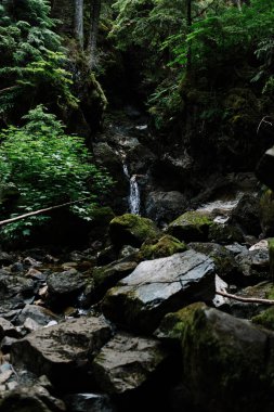 Upana Mağaraları 'nda küçük şelale, Gold Nehri, Vancouver Adası, British Columbia