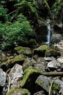 Upana Mağaraları 'nda küçük şelale, Gold Nehri, Vancouver Adası, British Columbia