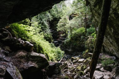 Upana Mağaraları, Gold Nehri, Vancouver Adası, British Columbia