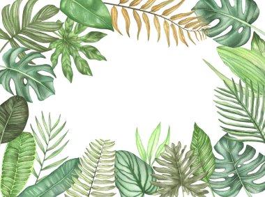 Tropik yapraklardan oluşan suluboya çerçeve. Tropikal yaprak ve dalların tasviri, davetiye tasarımı için tropikal yeşillik, tebrik kartları ve duvar kağıtları
