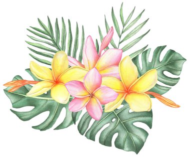 Watercolor tropical plumeria bouquet frangipani composition with palm leaves and monstera on white background. Floral illustration for design greeting cards, wedding invitations.