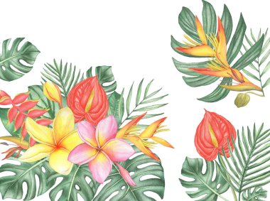 Palmiye yapraklı suluboya tropik çiçek buketi kompozisyonu ve beyaz arka planda yeşil canavar.