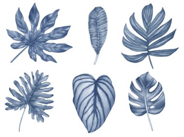 Mavi tropikal yaprakların suluboya seti. Tropikal yaprak ve dalların tasviri, davetiye tasarımı için tropikal yeşillik, tebrik kartları ve duvar kağıtları