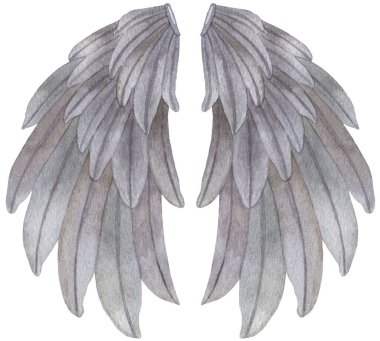 Suluboya Gri Melek Kanadı çizimi. Melek kanadı, aşk tanrısı, melek, pegasus parmak izi için gri tüyler, pankartlar.