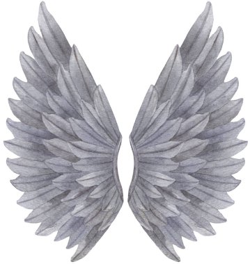 Suluboya Gri Melek Kanadı çizimi. Melek kanadı, aşk tanrısı, melek, pegasus parmak izi için gri tüyler, pankartlar.