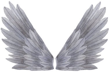 Suluboya Gri Melek Kanadı çizimi. Melek kanadı, aşk tanrısı, melek, pegasus parmak izi için gri tüyler, pankartlar.