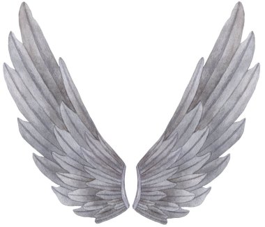Suluboya Gri Melek Kanadı çizimi. Melek kanadı, aşk tanrısı, melek, pegasus parmak izi için gri tüyler, pankartlar.