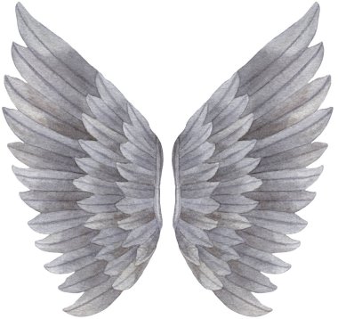 Suluboya Gri Melek Kanadı çizimi. Melek kanadı, aşk tanrısı, melek, pegasus parmak izi için gri tüyler, pankartlar.