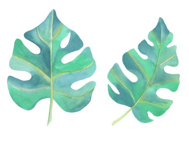 Canavar kartlar, düğün davetiyeleri ve doğum günü kartları için suluboya resim bırakır. Beyaz arkaplanda elle çizilmiş illüstrasyon