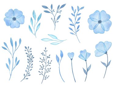 Suluboya çiçek, suluboya çiçekler mavi çiçek ve dallar çizimi. Beyaz arka planda elle boyanmış. Tebrik kartı tasarımı için mükemmel