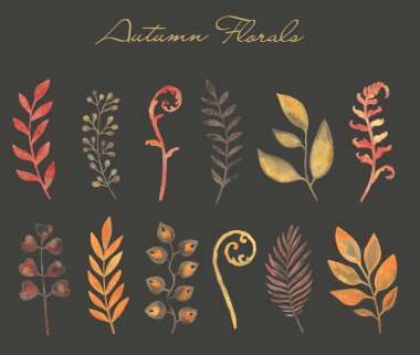 Suluboya sonbahar dalları, yapraklar ve böğürtlen. El boyası izole çizimi