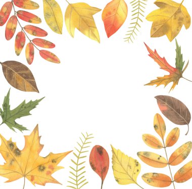 Suluboya Sonbahar Yaprakları Koleksiyonu. Mevsimsel Tasarım İçin Beyaz Arkaplanda Renkli Setler