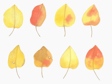 Sonbahar yapraklı suluboya seti. El çizimi illüstrasyon
