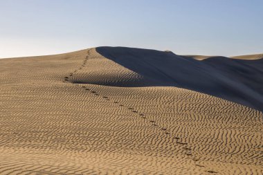 Tek bir ayak izi, kum tepeciğinin kenarına kadar uzanıyor. Kum pürüzsüz ve rüzgarlıdır, ışık uzun gölgeler yaratır..