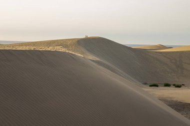 Maspalomas Kum Tepeleri Gran Kanarya Günbatımının Ilık Parlaklığında Banyo Yaptı