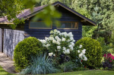 Çeşit çeşit çiçek ve çalı bahçeleri olan güzel bir bahçe. İyi bakımlı peyzaj, renkli ve davetkar bir alan yaratır. Bahçe, ev ya da doğa projeleri için mükemmel..