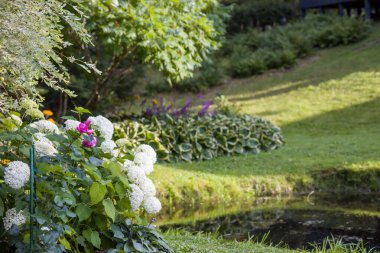 Ortancaları, hostesleri ve sakin göleti olan güzel bir bahçe. Yeşillik ve renkli çiçekler dingin ve davetkar bir alan yaratır. Bahçe işleri ya da doğa projeleri için mükemmel..