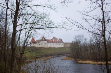Letonya 'daki Bauska Şatosu, ortaçağ kuleleri ve kırmızı kiremitli çatısı. Çimenli bir tepenin tarihi simgesi. Seyahat, mimari veya tarih projeleri için mükemmel.