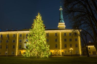 Letonya Riga Kalesi 'nde Noel kutlaması. Tarihi binanın önündeki büyük ışıklandırılmış Noel ağacı. Noel, tatil, seyahat veya şehir manzarası projeleri için mükemmel.