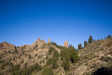 Roque Nublo, Gran Canaria 'da ikonik bir kaya oluşumu. Çam ağaçları ve açık mavi gökyüzü ile dramatik dağ manzarası. Popüler turizm merkezi. Doğa, seyahat ve peyzaj projeleri için mükemmel