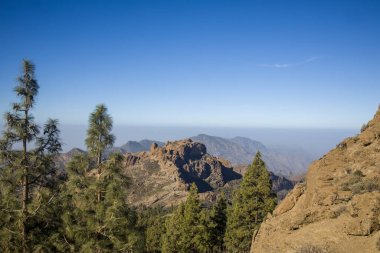 Roque Nublo, Gran Canaria 'da ikonik bir kaya oluşumu. Çam ağaçları ve açık mavi gökyüzü ile dramatik dağ manzarası. Popüler turizm merkezi. Doğa, seyahat ve peyzaj projeleri için mükemmel