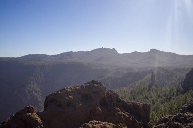Roque Nublo, Gran Canaria 'da ikonik bir kaya oluşumu. Çam ağaçları ve açık mavi gökyüzü ile dramatik dağ manzarası. Popüler turizm merkezi. Doğa, seyahat ve peyzaj projeleri için mükemmel