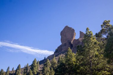 Roque Nublo, Gran Canaria 'da ikonik bir kaya oluşumu. Çam ağaçları ve açık mavi gökyüzü ile dramatik dağ manzarası. Popüler turizm merkezi. Doğa, seyahat ve peyzaj projeleri için mükemmel
