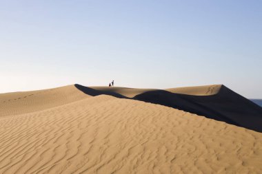 Gran Canaria 'daki Maspaloma Kumulları. Desenli kum tepecikleri, gölgeler ve soluk ayak izleri. Minimalist çöl manzarası. Doğa, seyahat ya da minimalist projeler için mükemmel.