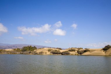 Gran Canaria 'daki Maspaloma Kumulları ve Lagün. Kum tepecikleri arka planda bitki örtüsü ve dağlarla suya kavuşur. Dağınık bulutlu berrak gökyüzü.