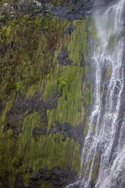 Madeira Agua d 'Alto şelalesinden zarif bir şekilde akan su, canlı yeşilliklerle süslenmiş dik bir uçurumdan aşağı dökülüyor..