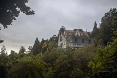 Madeira 'daki Monte Palace Garden' ın güzelliğini keşfedin. İlgi çekici tarihi bir binayı çevreleyen zengin yeşilliğiyle. Dramatik bir gökyüzü altında sakin bir geri çekilme rahatlamaya ve keşfe davetiye çıkarır..