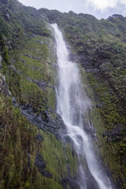 Parlak yeşil bitki örtüsüyle çevrili kayalık uçurumlardan şelaleler yuvarlanıyor. Suyun rahatlatıcı sesi havayı dolduruyor, Madeira 'da huzurlu bir atmosfer yaratıyor..