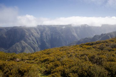 Madeira 'daki dağların çarpıcı panoramik manzarası yemyeşil vadileri ve engebeli uçurumları ortaya çıkarıyor. Işık bulutları tepelerin üzerinde sürükleniyor, manzaranın doğal güzelliğini arttırıyor..