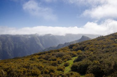 Madeira 'da, bir yürüyüşçü canlı yeşillik ve tepeleri saran bulutlarla dolu çarpıcı dağ manzarasına bakar. Güneşli bir günde doğanın güzelliği büyülüyor..