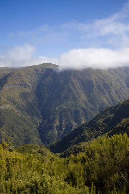 Madeira 'nın muhteşem sıradağları açık mavi gökyüzü altında canlı yeşil ve nazik bulutlar sergiliyor, açık hava meraklılarını gizli patikalar ve manzaralar keşfetmeye çağırıyor..