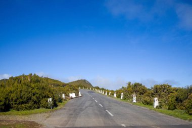 Madeira 'da canlı yeşil bitki örtüsüyle çevrili dolambaçlı bir yol doğal ortamı dingin bir atmosfere bağlar. Gökyüzü parlak ve berrak. Sahnenin güzelliğini arttırıyor..