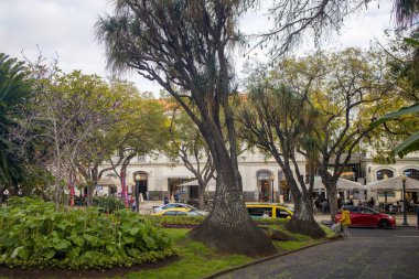 Manzarada açık kafelerle çevrili bir meydanda yemyeşil ağaçlar ve renkli bitkiler yer alıyor. İnsanlar bulutlu bir günde Madeira 'nın canlı atmosferinin tadını çıkararak gezinirler..