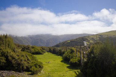 Madeira 'daki canlı yeşil alanlar boyunca sakin bir patika sisle kaplı uzak dağlara çıkıyor. Güneş parlıyor, yemyeşil bitki örtüsünü ve doğal güzelliği aydınlatıyor..