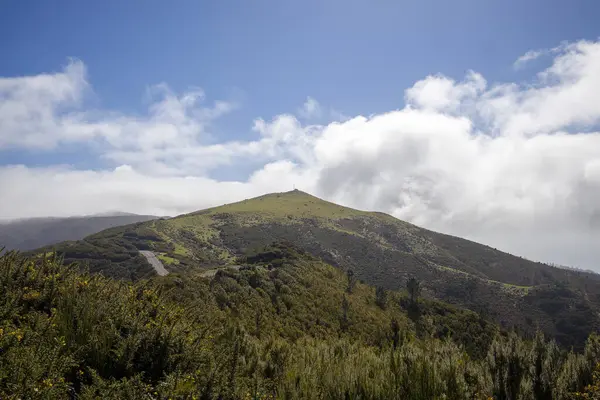 Canlı yeşillik Madeira 'nın yamaçlarını kaplıyor ve adanın doğal güzelliğini gözler önüne seriyor. Bulutlar mavi gökyüzünde sürükleniyor, dingin manzaraya derinlik katıyor..