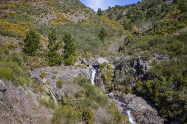 Çarpıcı Madeira kırsalının ortasında, sakin bir şelale açık bir günde canlı yeşillikler ve ağaçlarla çevrili kayaların üzerinden akar. Doğanın dingin güzelliği keşfi davet eder.